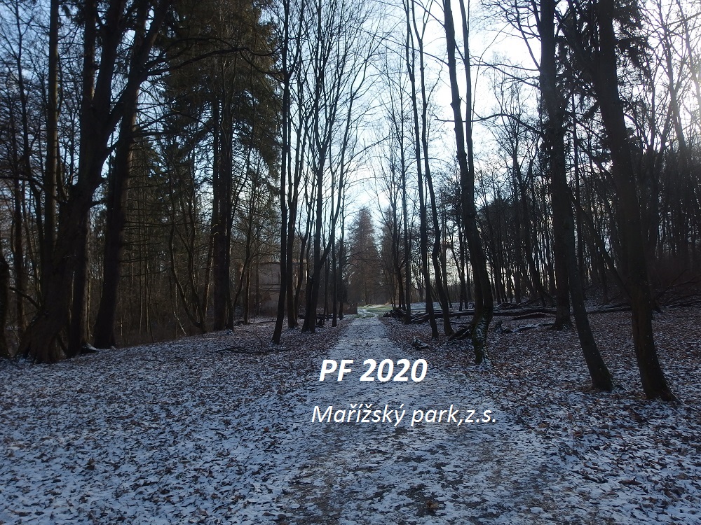 PF 2020